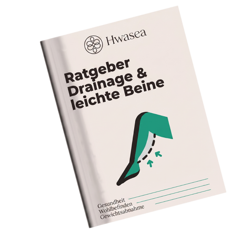 E-Book – Leitfaden Drainage & Cellulite